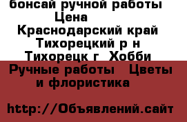 бонсай ручной работы › Цена ­ 350 - Краснодарский край, Тихорецкий р-н, Тихорецк г. Хобби. Ручные работы » Цветы и флористика   